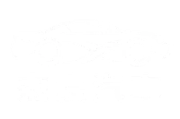 全台二手車估價收購-杰宸汽車
