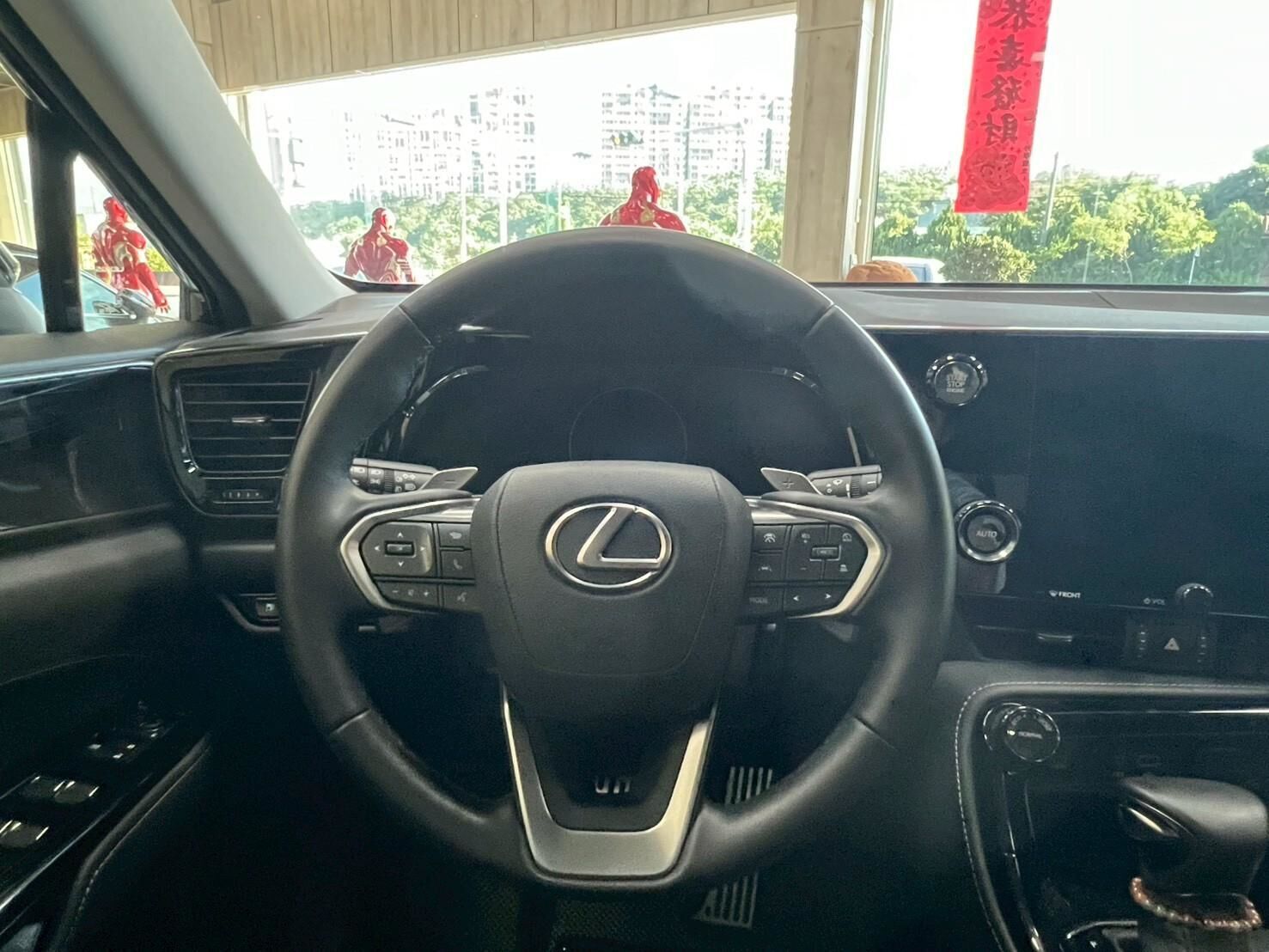 2024 凌志 NX200 黑 2.0